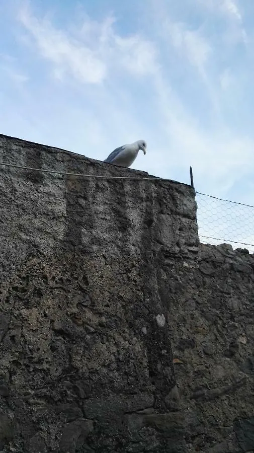 Il Nido Dei Gabbiani Villa Porto Venere 0*,  Italy